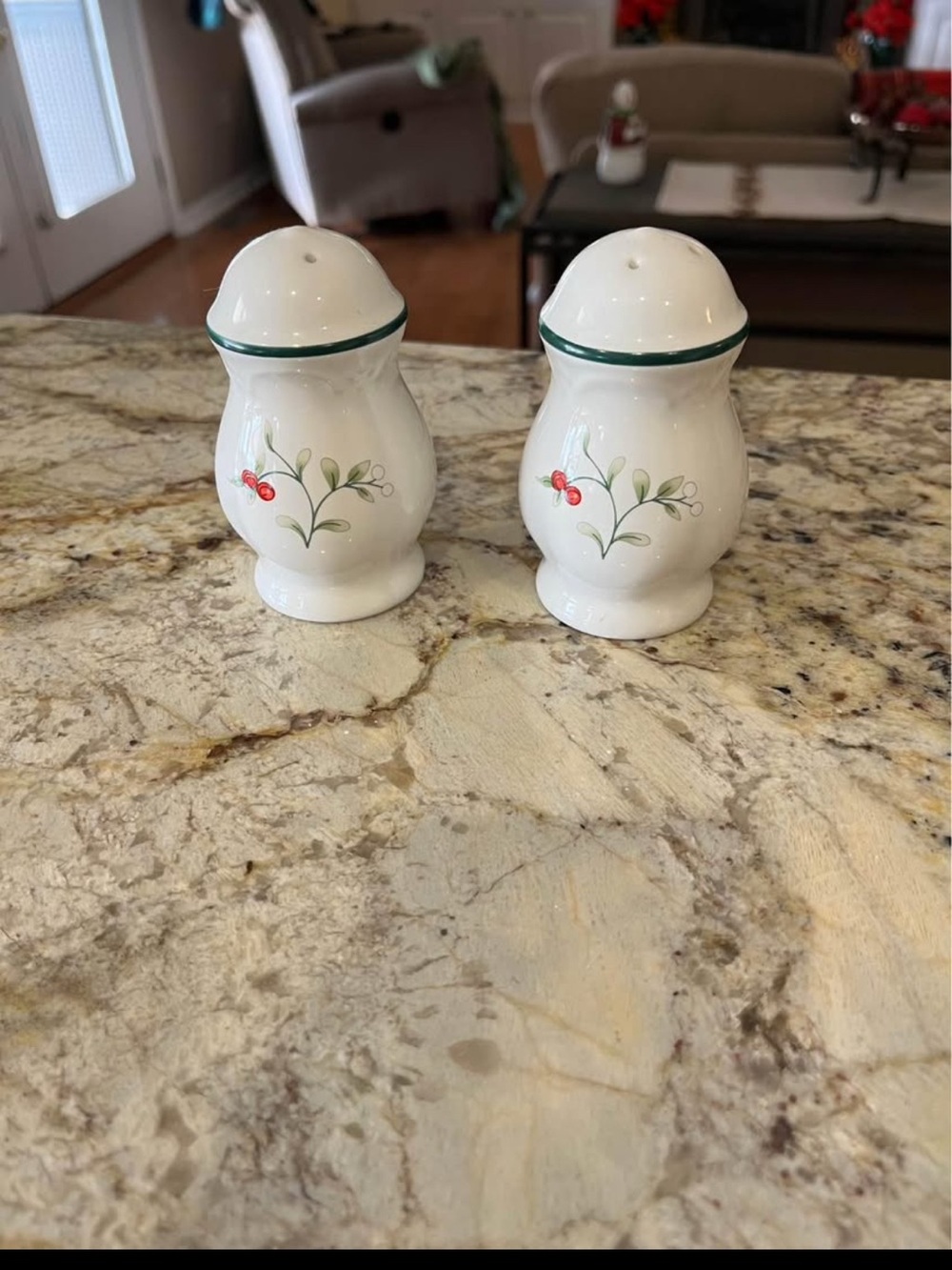 Pfaltzgraff White Shakers with Green Trim and Red Berry Motif
